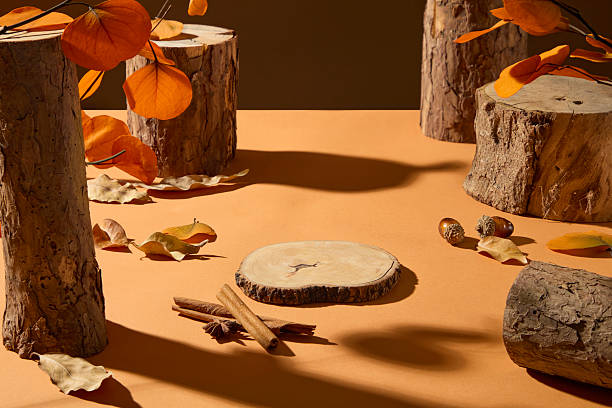 istock Rustic autumn setting with wood slices, logs, and scattered leaves. Ideal composition for seasonal ads, Thanksgiving greeting cards, or nature-inspired design mockups. 2241750678