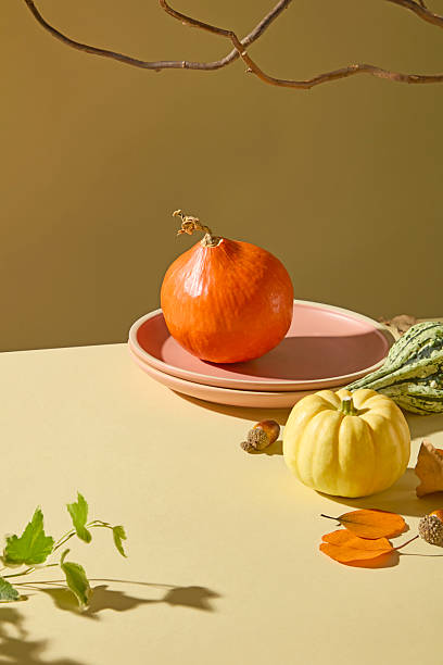 istock Red pumpkin placed on a ceramic plate with dry twigs and soft beige backdrop. Perfect fall still life for cozy seasonal compositions and poster design. 2241751044