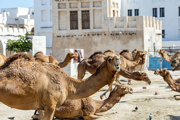 istock The United Arab Emirates (UAE) 2241758218