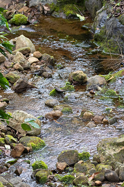istock Fresh water stream in a mountain river 2241763410