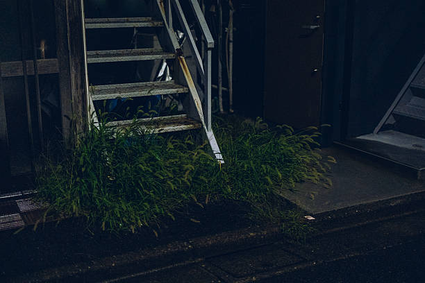 Unused outdoor staircase