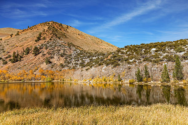 istock The smooth water of the lake 2241766356
