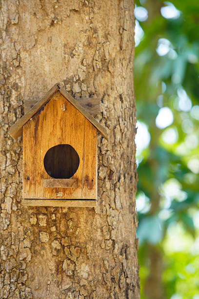 One of several nest boxes in a public space in the city of Rouen, promoting bird habitat and wildlife conservation