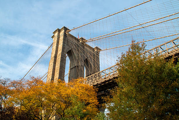 istock A lower view of the Brooklyn Bridge from Brooklyn Bridge Park. 2241770849