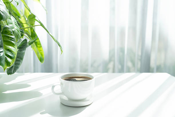 istock White coffee cup and philodendron leaves, on minimal white desk under ray of sunlight 2241772548