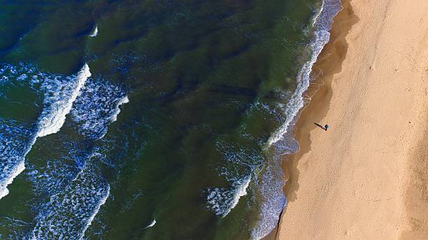 istock Serene top-down drone view of Baltic waves touching the sandy coastline. 2241773116