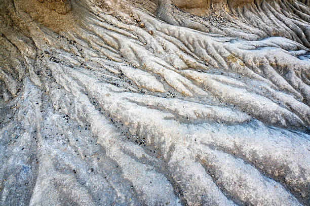 istock Desert Details Closeup 2241774781