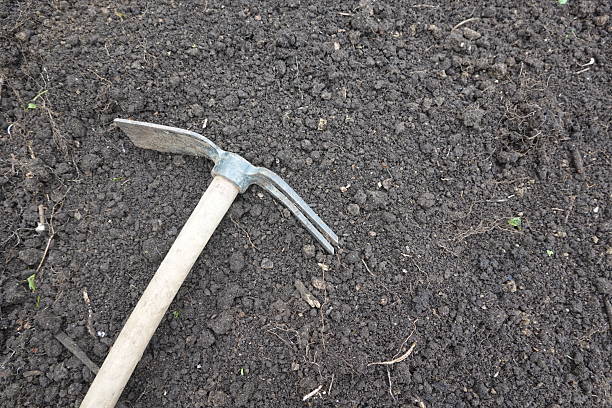 Metal pickaxe featuring a wooden handle rests on dark, fertile soil, poised for gardening and planting activities in the earth
