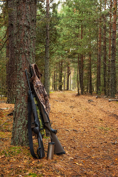 A hunting rifle and jacket lean against a pine tree in a pine forest along a forest path. An autumn landscape with outdoor adventures and a rustic atmosphere.
