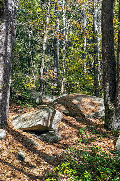 istock fall landscape of willard brook state forest 2241782478