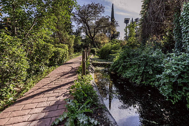 A stream of water next to a red cobblestone path within a plot