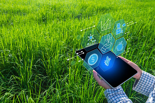 istock Smart Farming and Agricultural Technology (AgriTech) Concept 2241783881