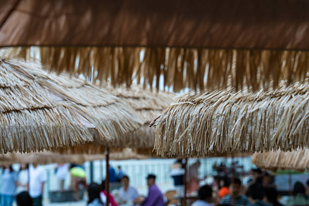 interior of the outdoor cafe