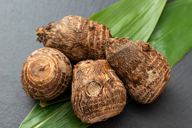 istock Taro on top of bamboo grass, black background 2241793710