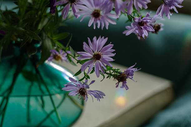 istock bouquet of  violet flowers 2241797866