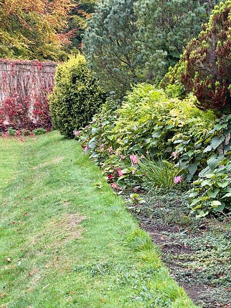 istock A peaceful garden path bordered by small pink blossoms. Grassy plants and colourful leaves add texture,  by a walkway under a soft, calm sky. 2241803635
