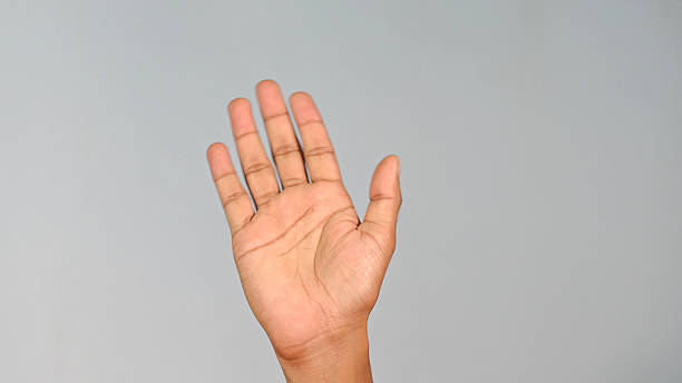 istock Hand Gesture Saying Goodbye  Open Hand Wave Gesture Close-Up on Studio Background 2241804368