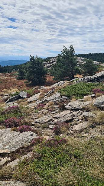 istock Beautiful rocky chaos on the Mount Caroux (southern France) 2241806476