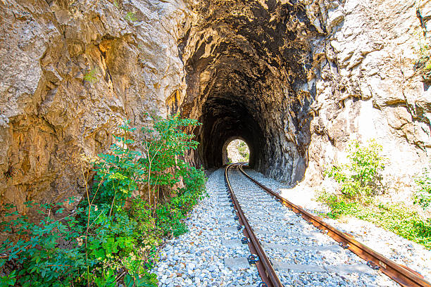 Railway tracks curve into a dark tunnel beneath rocky cliffs, surrounded by lush green forest and shrubs under a bright blue sky in Eastern Serbia's scenic landscape.