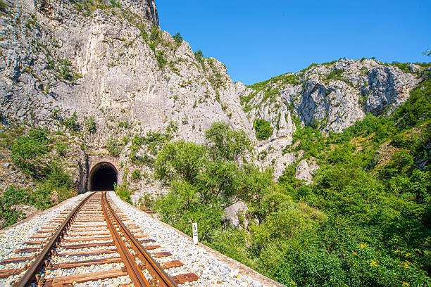 istock Railway tracks curve into a dark tunnel beneath rocky cliffs, surrounded by lush green forest and shrubs under a bright blue sky 2241809399