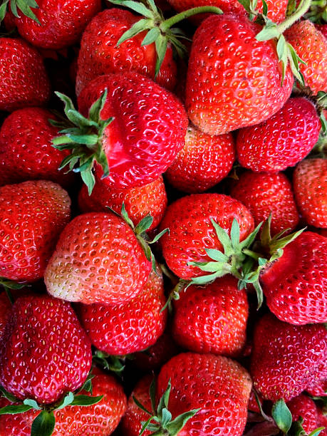 istock Strawberries background. Fresh strawberries close up. Top view. Close-up, selective focus. 2241809547