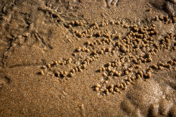 Close up of sand on the beach