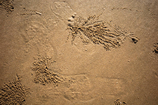 Close up of sand on the beach