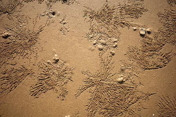 Close up of sand on the beach