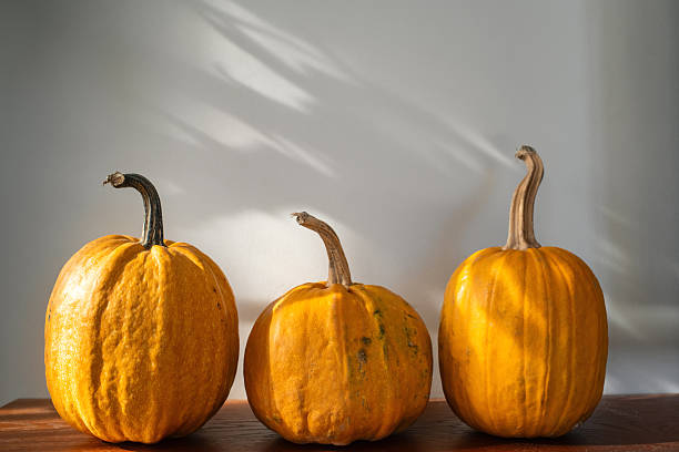 Halloween decorations with pumpkin baskets on orange background