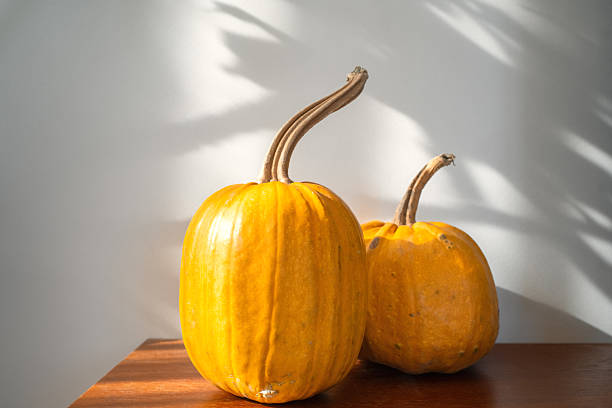 Pumpkins