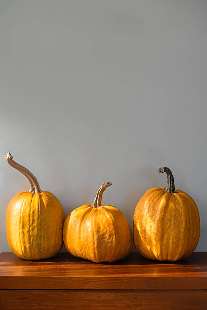 istock Pumpkins at home in the morning 2241812942