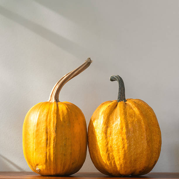 istock Pumpkins at home in the morning 2241812966