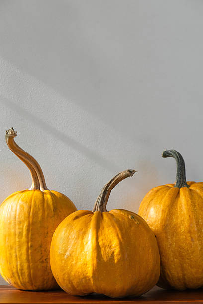 istock Pumpkins at home in the morning 2241813035