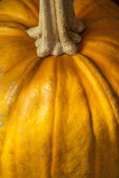 istock Pumpkin at home in the morning 2241813057