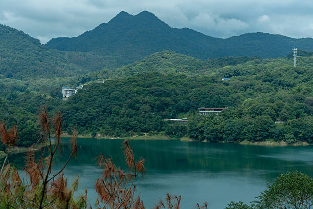 Aerial View of a Serene Mountain River Landscape