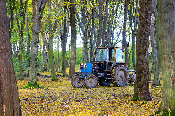 An old tractor with blue and yellow elements is abandoned in a forest where the ground is covered with bright autumn leaves.