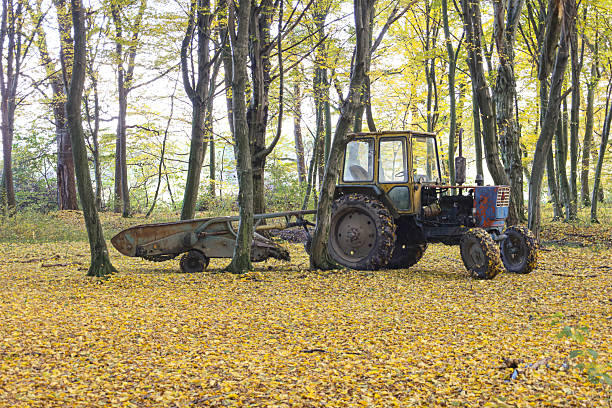 An old, abandoned tractor with an implement stands in a bright autumn forest, where the ground is completely covered with golden-yellow leaves. The