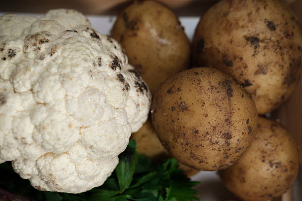 A close-up of delicious, golden-brown roasted cauliflower florets in a warm bowl. A perfect, healthy, and savory homemade meal, ready to be enjoyed.