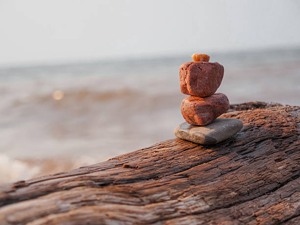 Four pink and grey rocks stacked on a piece of brown driftwood with water in the background