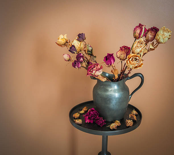 A dozen dead red roses in a blue glass vase sitting on a wooden table with a shadow cased on the green wall. The dried leaves and petals have fallen down onto the table from the bouquet being abandoned after Valentine's day, anniversary or birthday.