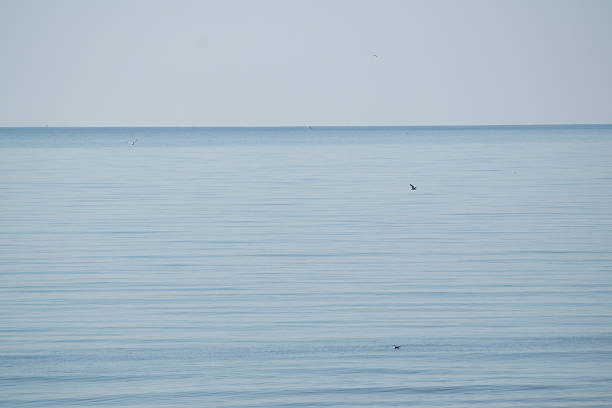 istock background of blue sky and blue sea 2241833089