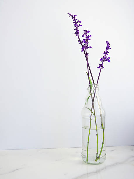 istock Three French Lavender sprigs in a clear jar 2241834610