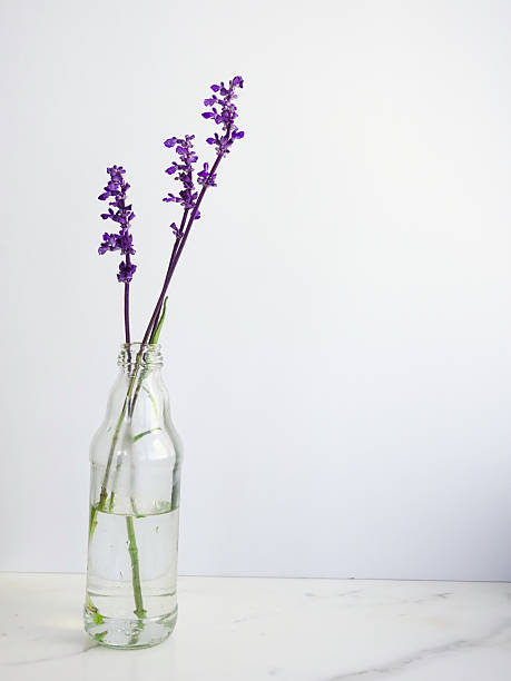 istock Three French Lavender sprigs in a clear jar 2241834615