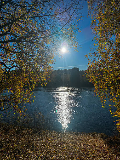 Bright autumn day with golden tree leaves framing a sunlit river. The sun creates sparkling reflections on the water, captured under a clear blue sky. Tranquil seasonal landscape for nature-themed visuals.