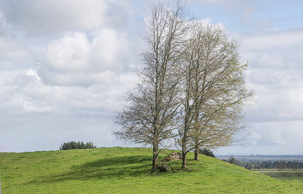 istock Country landscape with isolated trees 2241837910