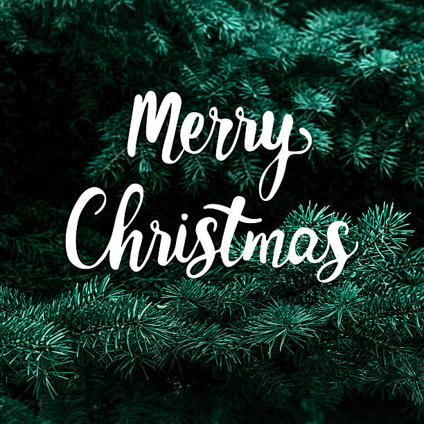 istock Christmas photo with handwritten Merry Christmas message 2241852101