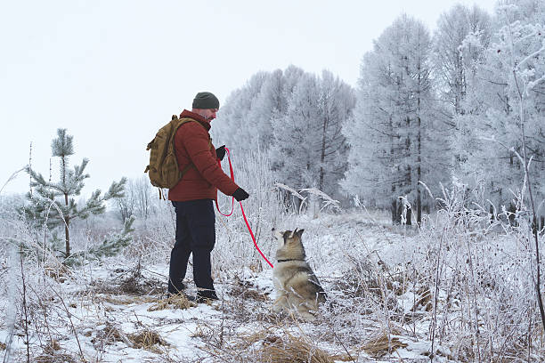 istock Man training husky dog in frozen winter forest landscape 2241852810