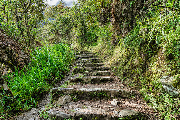 View with the steep stone steps from the pedestrian path from Aguas Calientes to Machu Picchu (Camino peatonal a Machu Picchu)