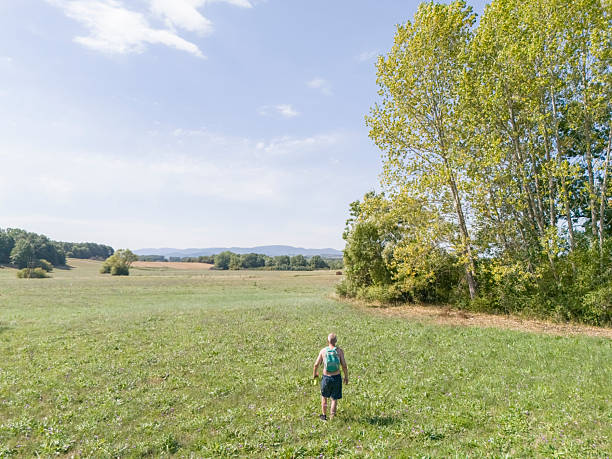 istock Summer heat in countryside 2241867498