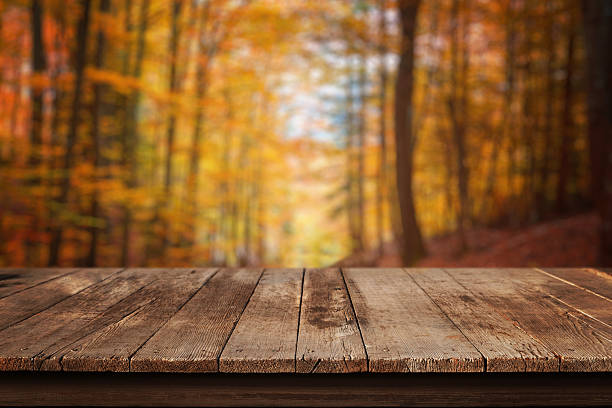istock Rustic wooden table with blurred forest in fall colors, perfect for product mockups, design templates and seasonal backgrounds 2241869560